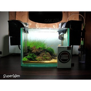 Máy Lọc Thác Nước Bể Cá Cảnh - Kết hợp hút mặt hút váng hồ cá