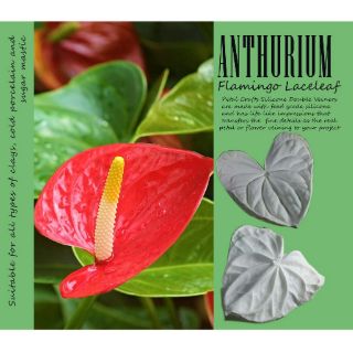 Anthurium - Khuôn vân nhựa dẻo hoa đất lấy vân 2 mặt