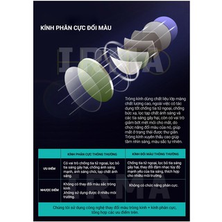 Kính Phân Cực Đổi Màu Trà IRMA 387T