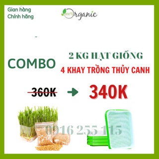 COMBO 2kg cỏ lúa mì+ 4 khay trồng thủy canh tiện lợi