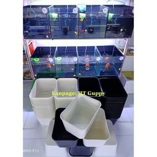 Khay Nhựa Nuôi Cá Hình Chữ Nhật Trắng, Đen và Xanh