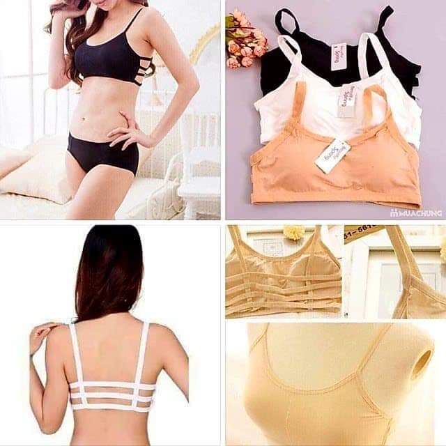 Combo 5 áo bra học sinh