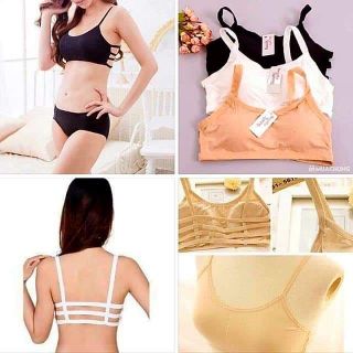 Combo 5 áo bra học sinh