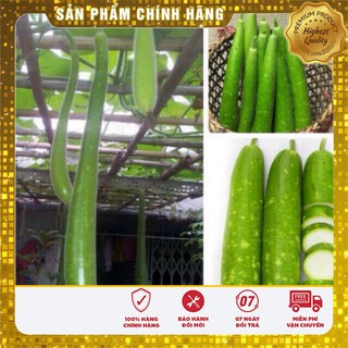 Hạt Giống Bầu Sao Trái Dài(10 hạt)