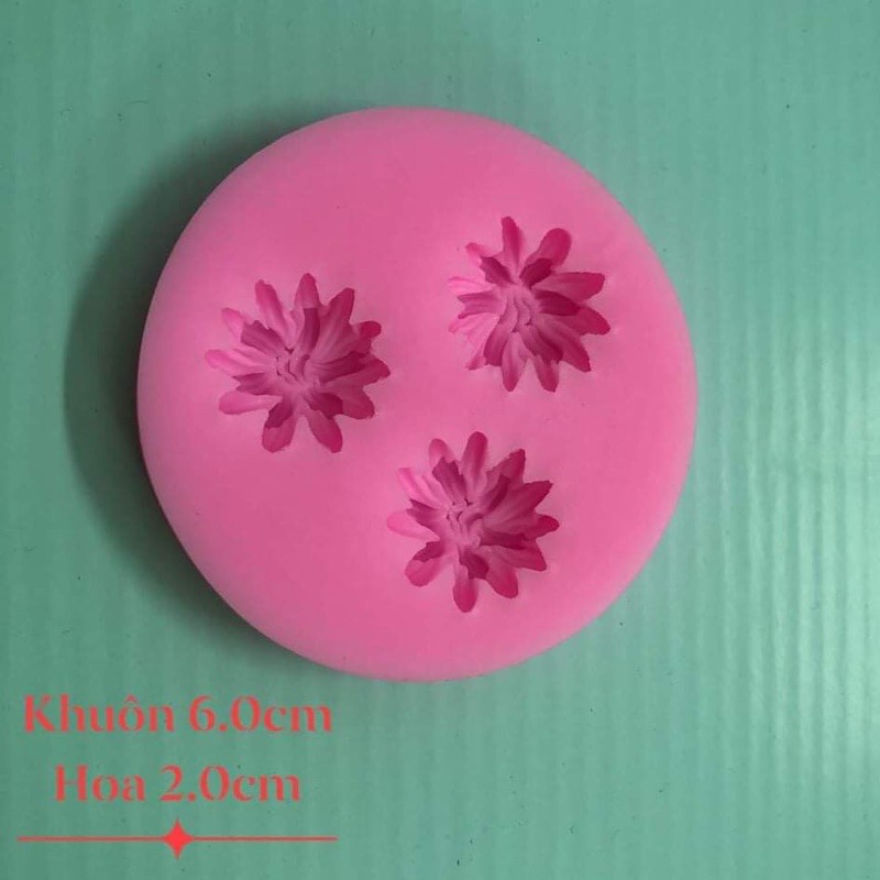 Silicon 3 hoa cúc nhí mới