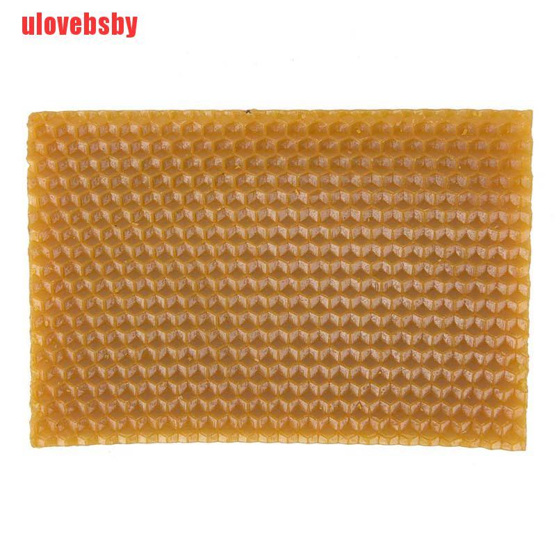 Set 10 Khung Tổ Ong Vàng Chuyên Dụng Cho Nuôi Ong