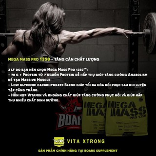 MEGA MASS PRO 1350 - SỮA TĂNG CÂN CHẤT LƯỢNG (12 LBS)