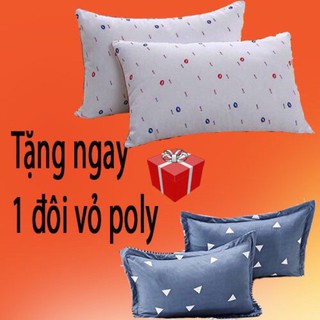 [FREE SHIP] Cặp Ruột Gối Hiltol Mẫu Mới- Tặng Kèm Cặp Vỏ Gối
