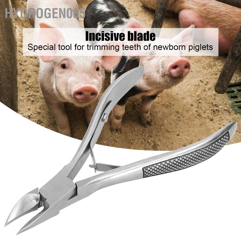 Hydrogen065 Piglet Teeth Cutter Pliers Stainless Steel Elbow Pig Tooth Nipper Livestock Equipment