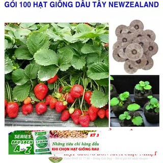 DÂU TÂY NEW ZEALAND HIFARM 50 hạt