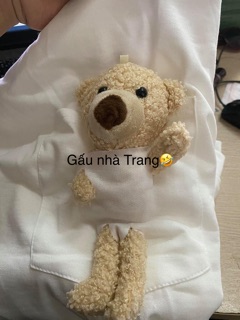 Áo thun gấu 2020