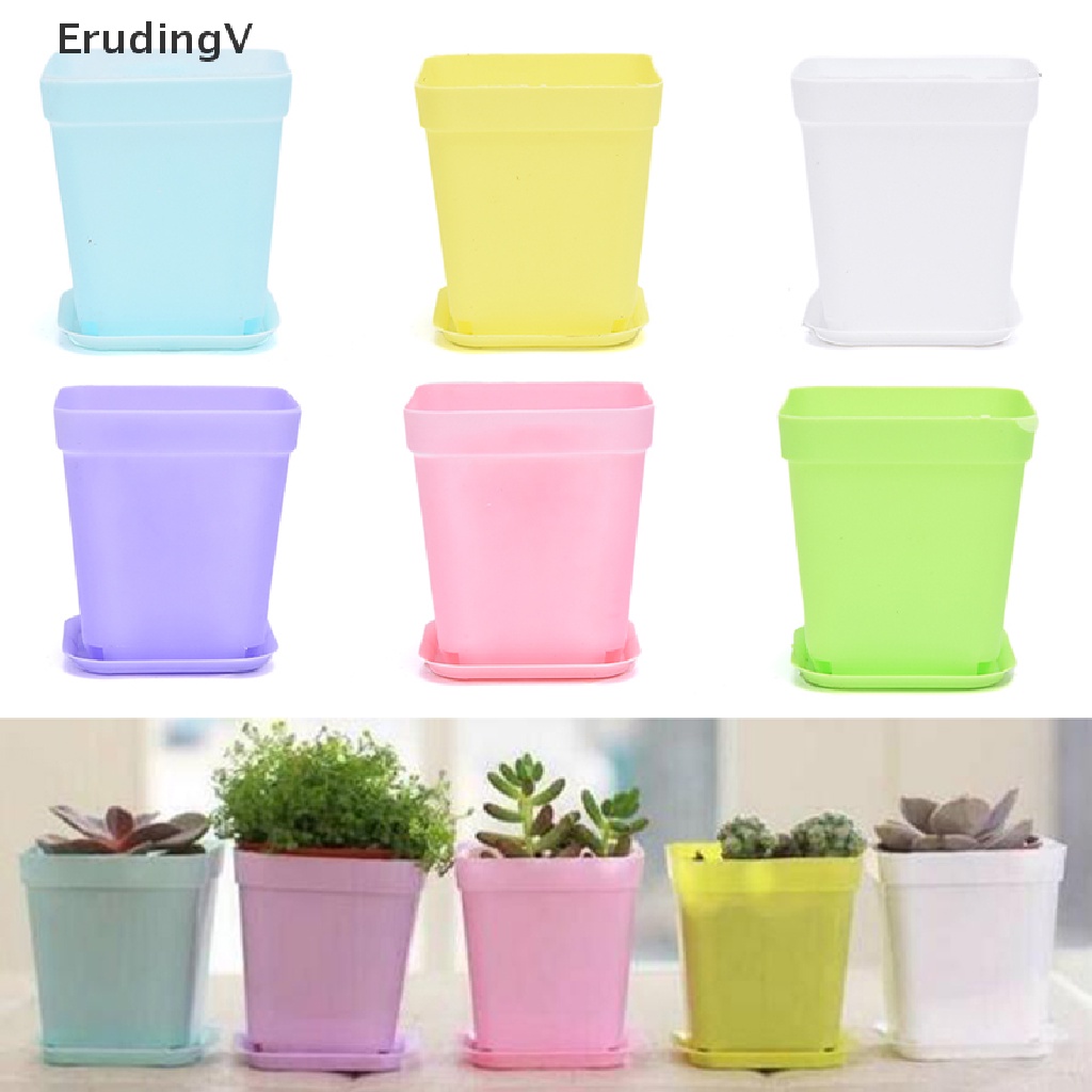 Khay Nhựa Hình Vuông Nhiều Màu Dùng Trồng Cây Trang Trí Sân Vườn