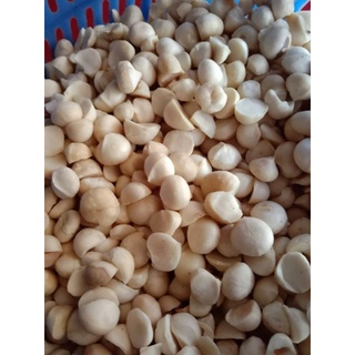 nhân macca vỡ làm sữa 500g