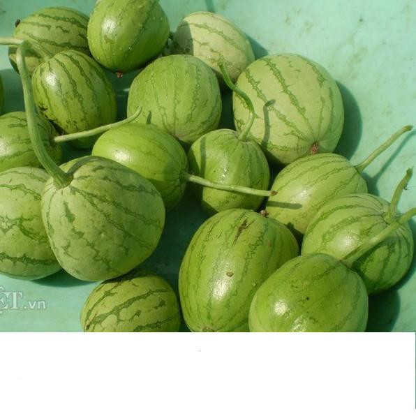 Hạt Giống Dưa Hấu Nụ, Dưa Canh 3gr