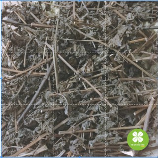 1kg Cây Tía Tô - ND237