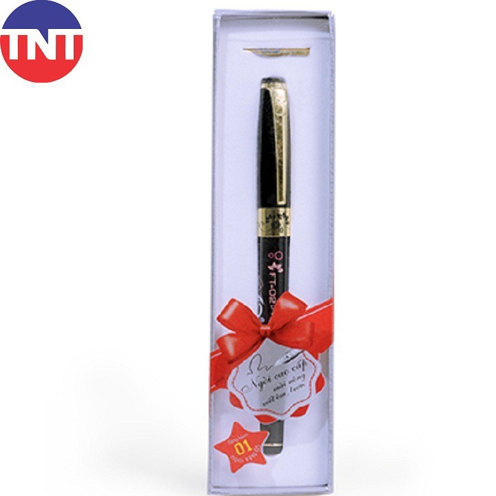 Bút máy nét thanh nét đậm FT-02 Plus