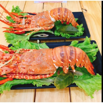 Tôm hùm bông Việt Nam loại đặc biệt, giao sống tận nơi, size tôm lớn 1-1,2kg/con