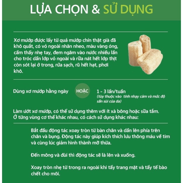 Combo 3 Trái Xơ Mướp Hữu Cơ Thiên Nhiên The Herbal Skin