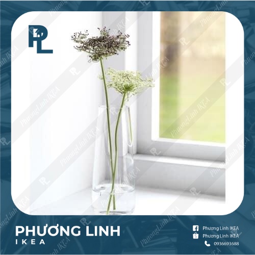 Lọ thủy tinh cao 15cm BERAKNA