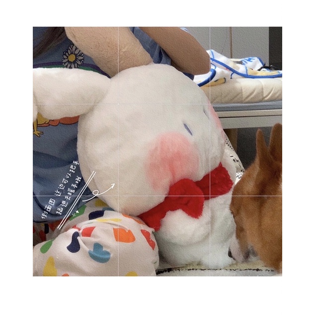 Gấu bông thỏ lông xù