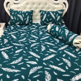 Bộ drap thun thái lan phối màu ( 7 màu)