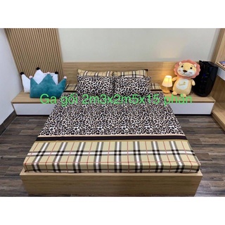 combo 4 bộ ga goi