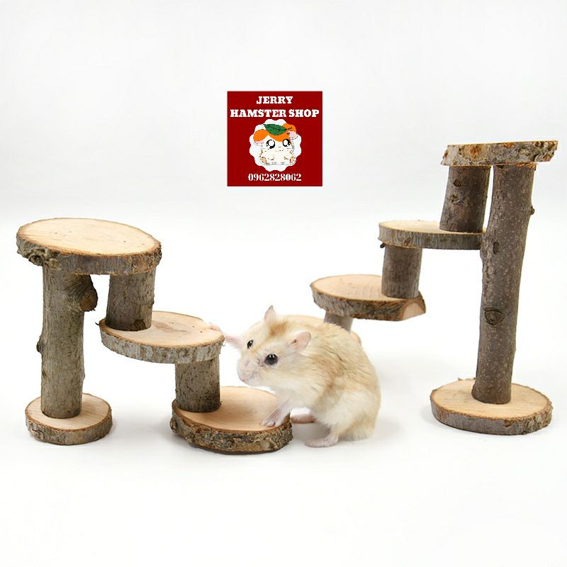 [XQ]Bậc gỗ leo trèo cho hamster