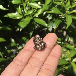 Tỳ hưu mệnh mộc