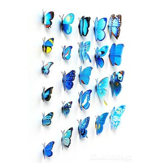 Combo 24 Con Bướm 3D Dán Tường chuẩn