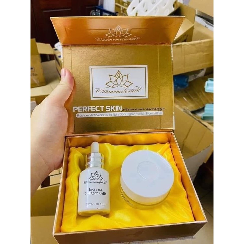 Bộ đôi tăng sắc tố và tăng sinh chamomileskill hàng chuẩn