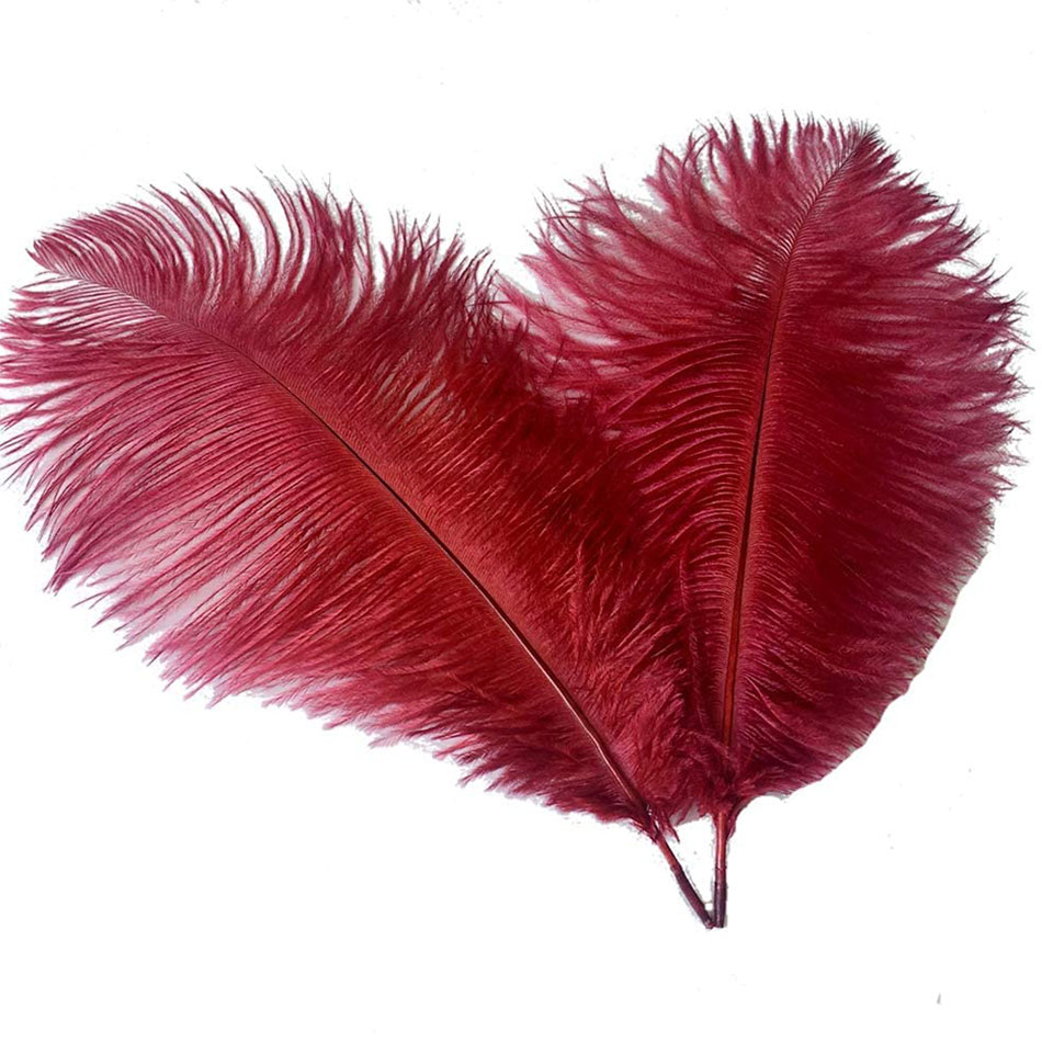 Bộ 10 Lông Đà Điểu 15-20CM Tự Làm Đồ Trang Sức