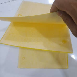 5 MIẾNG BẪY CÔN TRÙNG BẢO VỆ CÂY 20x25cm