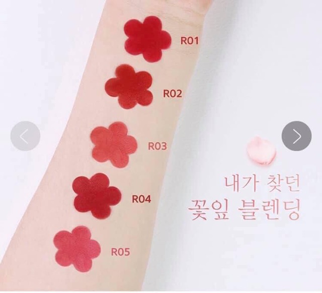 Son thỏi BLACK ROUGE ROSE VELVET LIPSTICK