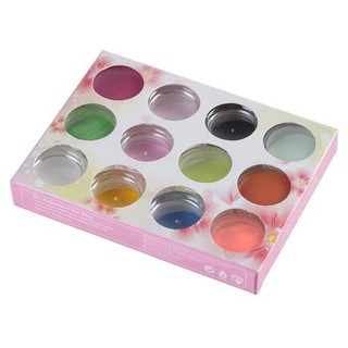 Set Bột Đắp Hoa 12 Màu (có ảnh thật ở cuối)