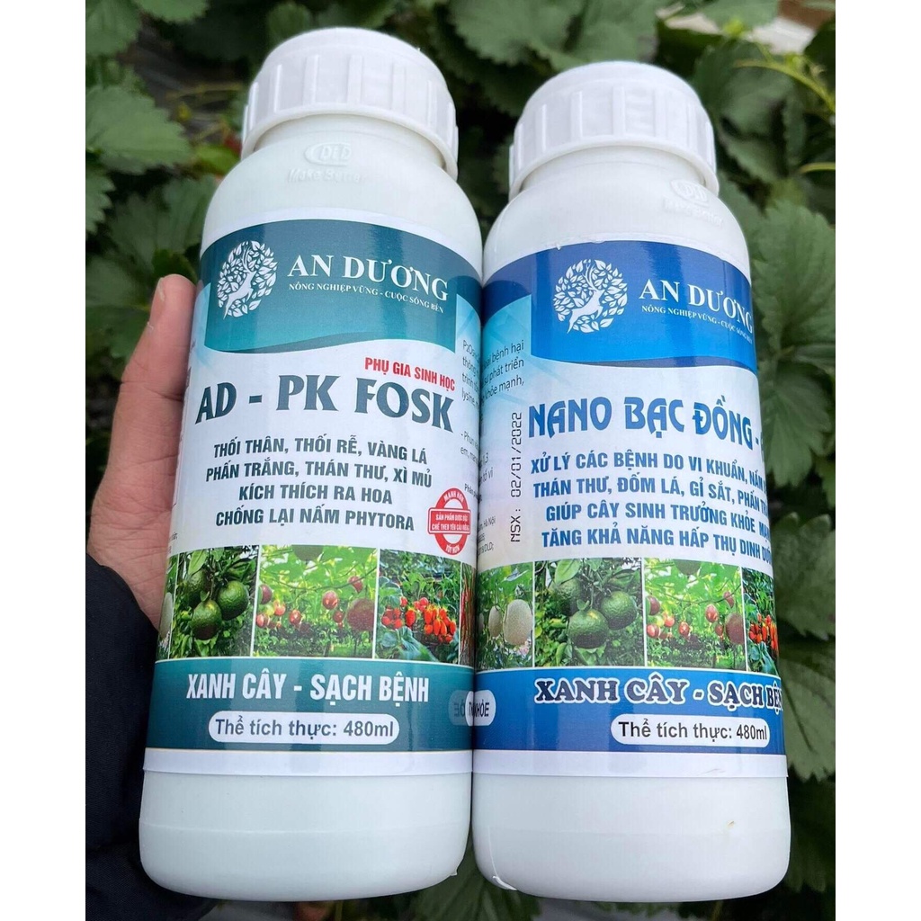 Bộ đôi An Dương xử lý nhanh thán thư, vàng rụng lá, thối trái, thân rễ, phấn trắng, héo xanh, sương mai 480ml