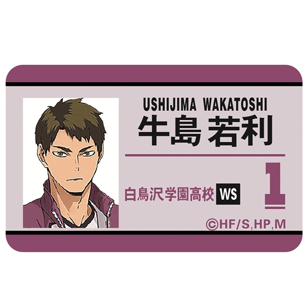 M3 Ảnh thẻ in hình HAIKYUU!! Vua Bóng Chuyền card bo góc viền 5*8cm anime chibi sưu tầm độc đáo