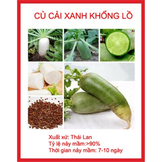 hạt giống củ cải xanh khổng lồ -củ cải đường 50 hạt
