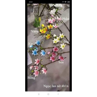 hoa ngọc lan cao su cao cấp