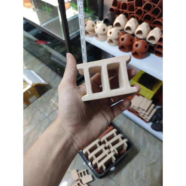 .Hang gốm chung cư pleco 2 lỗ