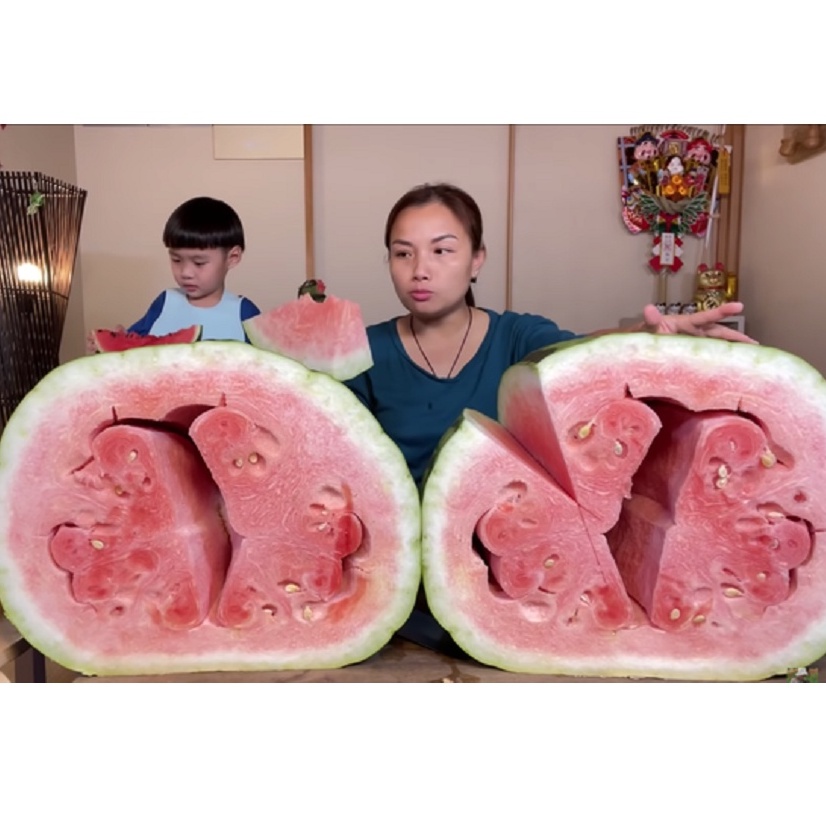 Hạt giống dưa hấu khổng lồ F1 nhập khẩu Mỹ