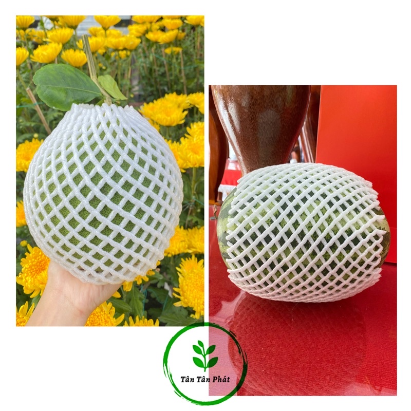 Xốp Bao, Bọc Mãng Cầu, Dưa Lưới, Dưa Hấu,Bưởi, Đu Đủ,..✨Bao Trái Từ 1-5kg, Loại Tốt, Siêu Rẻ