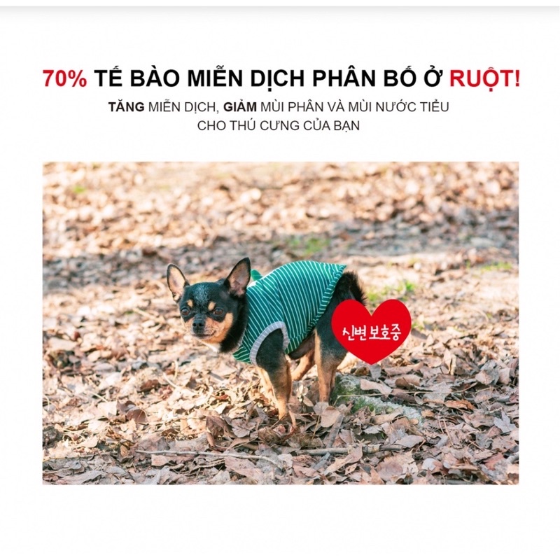 Men vi sinh hỗ trợ tiêu hoá cho chó mèo BIO3 PET 2g