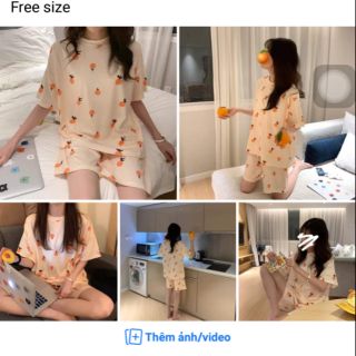 Bộ ngủ cam