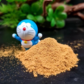 CÁM THỨC ĂN CHO GUPPY BETTA LT 02