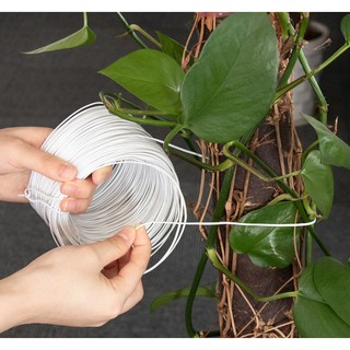 Dây lõi nhôm vỏ nhựa siêu mềm, buộc lan, hàng hóa , cột cành - Cuộn 100m