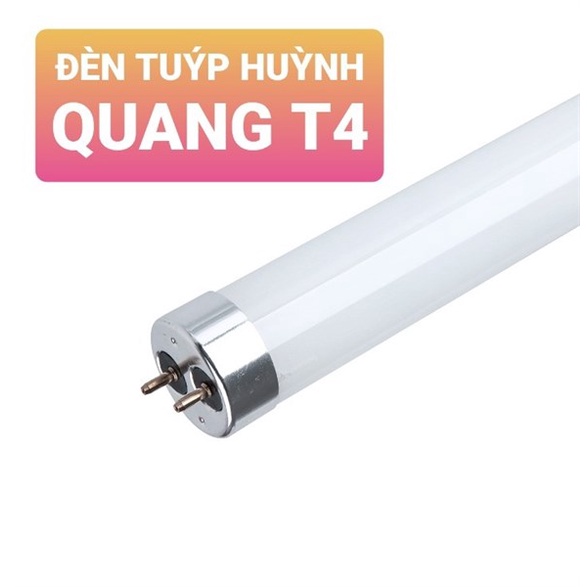 Bóng T4 6 tấc 20w