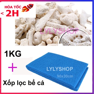 Xốp lọc bể cá 90x30cm loại tốt + San hô 1KG đẹp, vật liệu lọc,trang trí bể cá, tăng độ PH giúp cá lớn phát triển mạnh