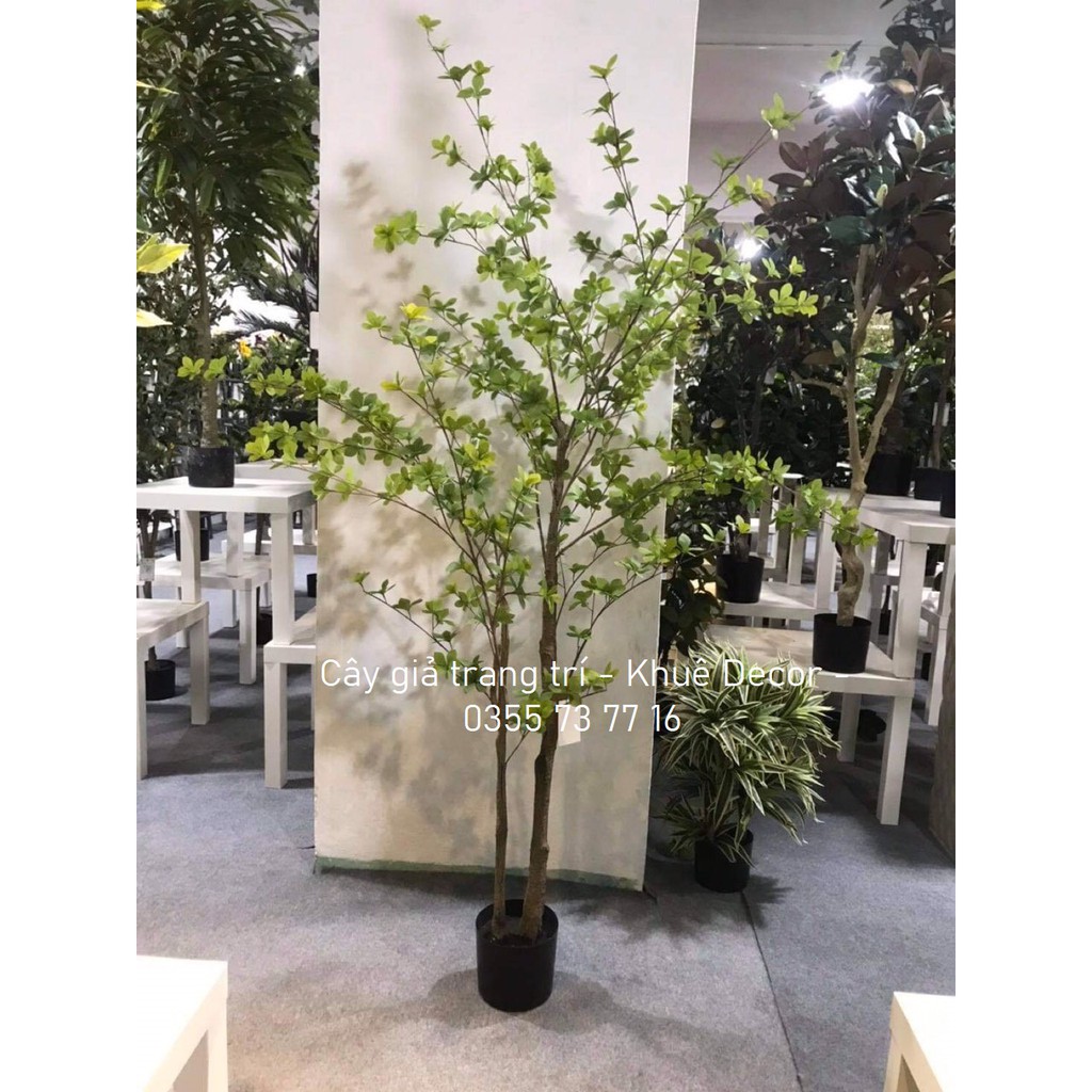 Cây Thạch Nam Nhật Bản giả cao 1m8 - Hàng cao cấp - Loại 1