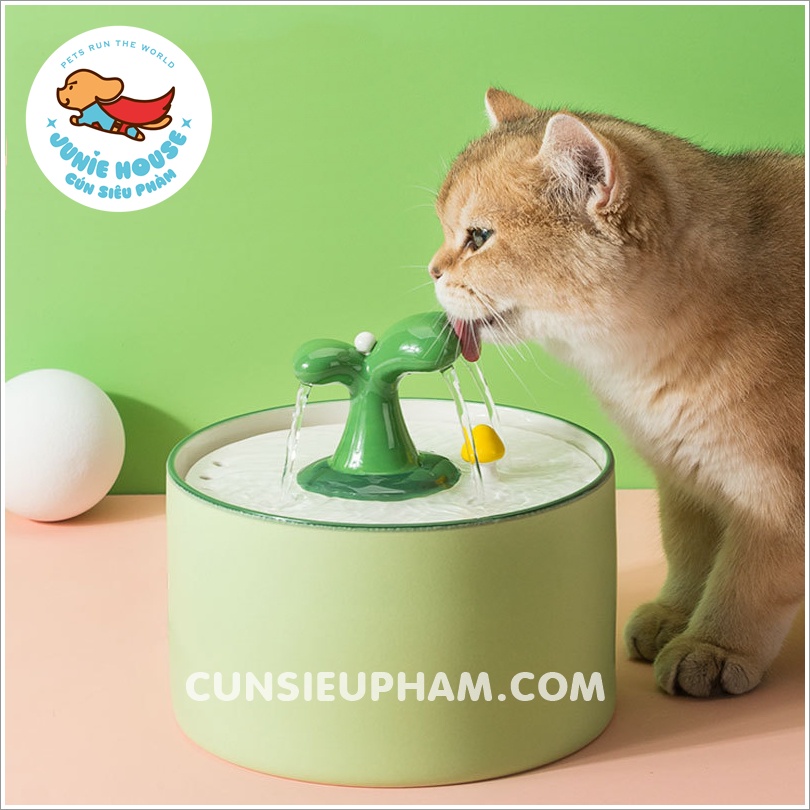 Khay sứ uống nước tự động cho chó mèo kèm máy lọc than hoạt tính