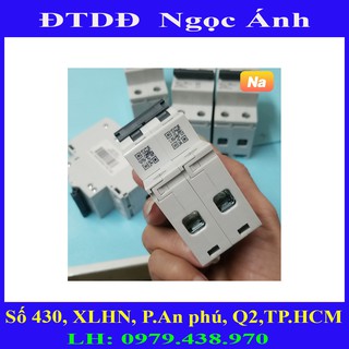 Cầu dao tự động,CB cóc,CB2P,CB Tổng 50A
